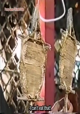 Manager Okamoto Is Mad in Hong Kong