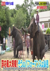 Ask The Best In A Strange Town 5